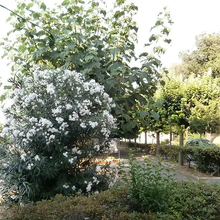 Il Sogno Grottazzolina