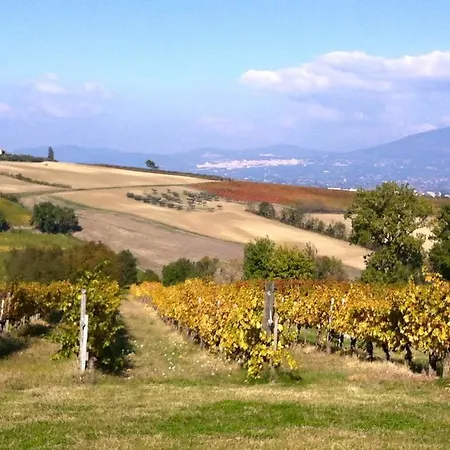 Il Sogno * Grottazzolina